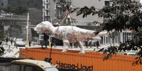 特殊货物集装箱